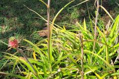 20230822_124902-Copy