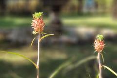 20230822_124914-Copy
