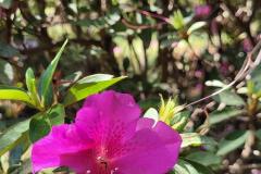 20230822_124932-Copy